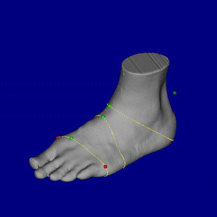 3D足形計測2.gif