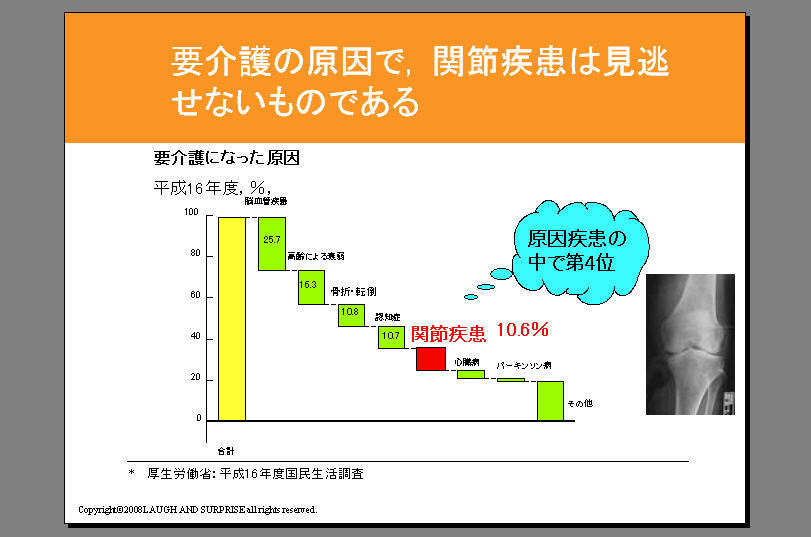 目黒区の要介護の原因.jpg