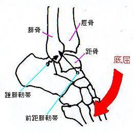 底屈時.JPG