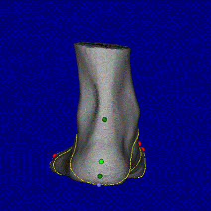 3D足形計測1.gif