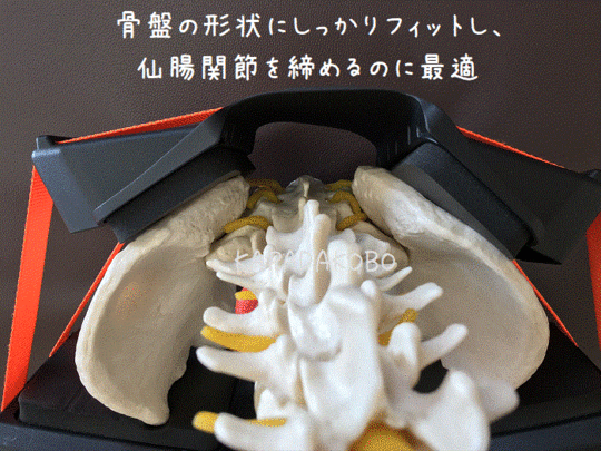 からだ康房に骨盤矯正器具リアラインコアSIを導入しました からだ康房に骨盤矯正器具リアラインコアSIを導入しました